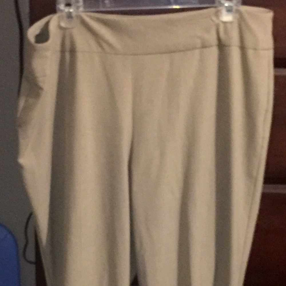 Women's Dress Barn Kaki Pants